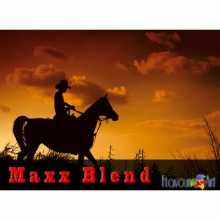 Maxx-μείγμα Shade Γεύση E-υγρού - Flavour Art