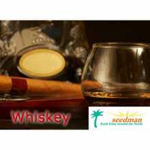 Whiskey príchuť - Seedman