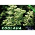 Koolada - Perfumer's Apprentice