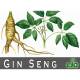 E-liquide avec saveur de Ginseng - E-liq