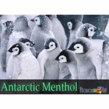 Elichid aroma Mentol Arctic