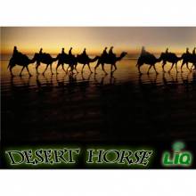 Camel chuť e-kvapalina