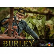 Burley вкус жидкости - Flavour Art